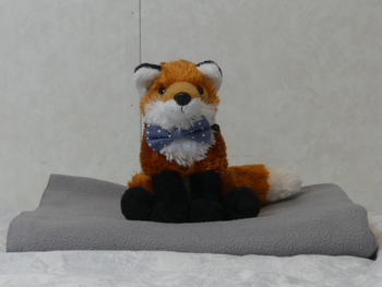 Unnamed 43 (Red Fox, Wild Republic)